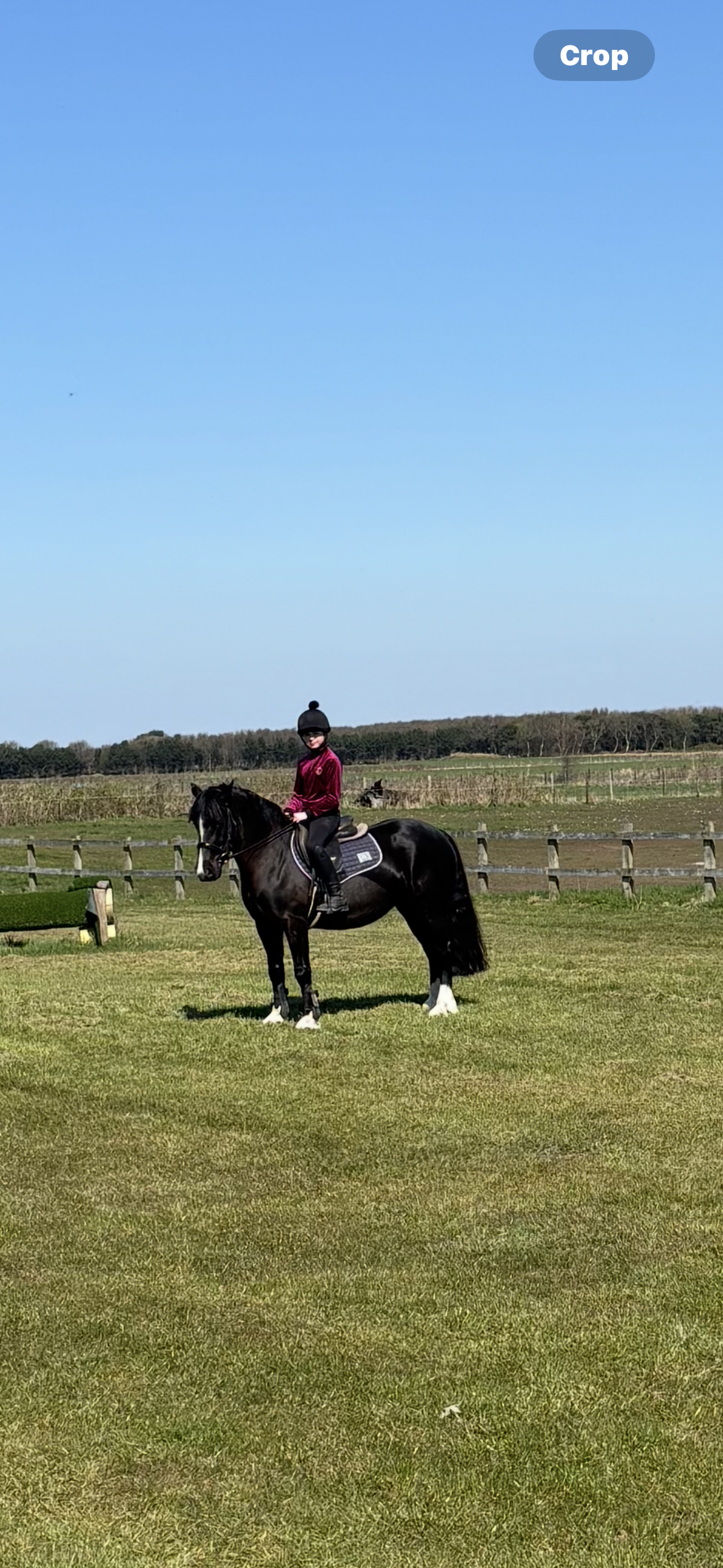 Regal Velvet Training Tops