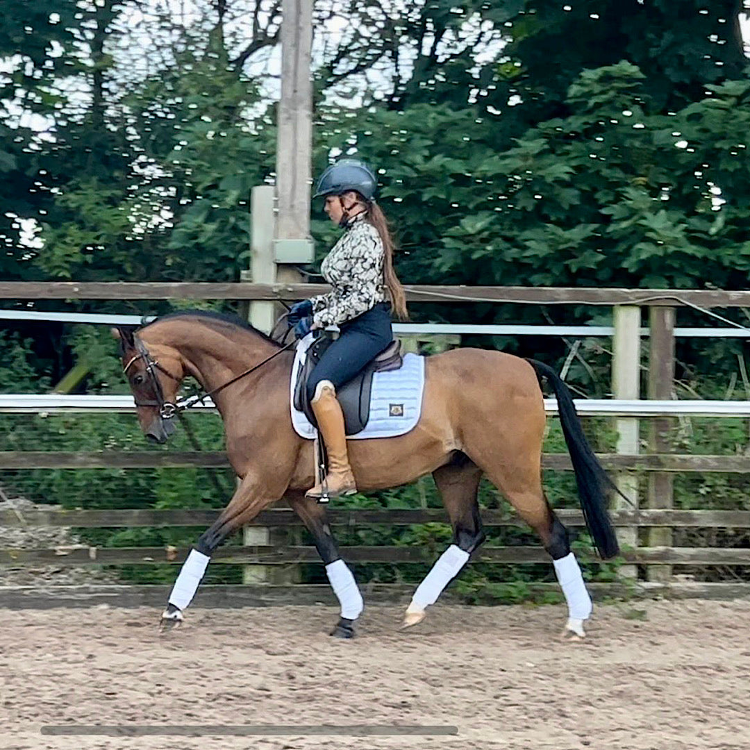 Luxury Dressage Square 💎 - Equestre Co.