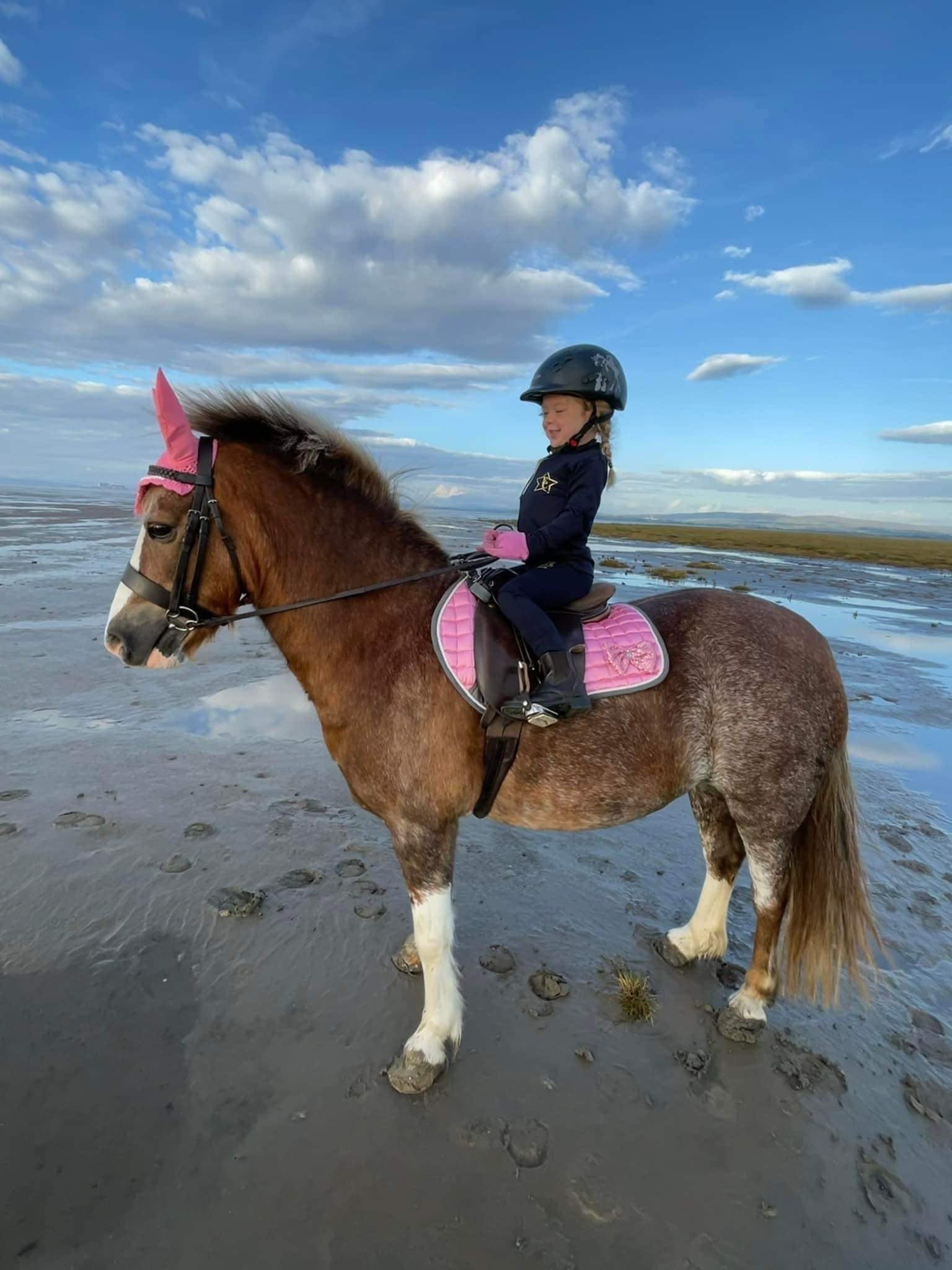 Bling by Equestre Co. Twilight pink saddle pad